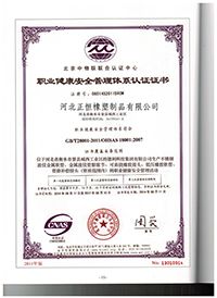 職業(yè)健康安全管理體系認(rèn)證證書